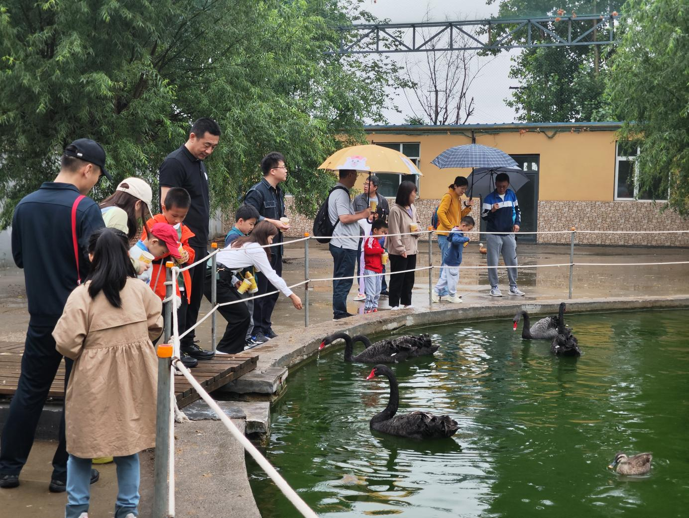 PT��Ѷ|һ������